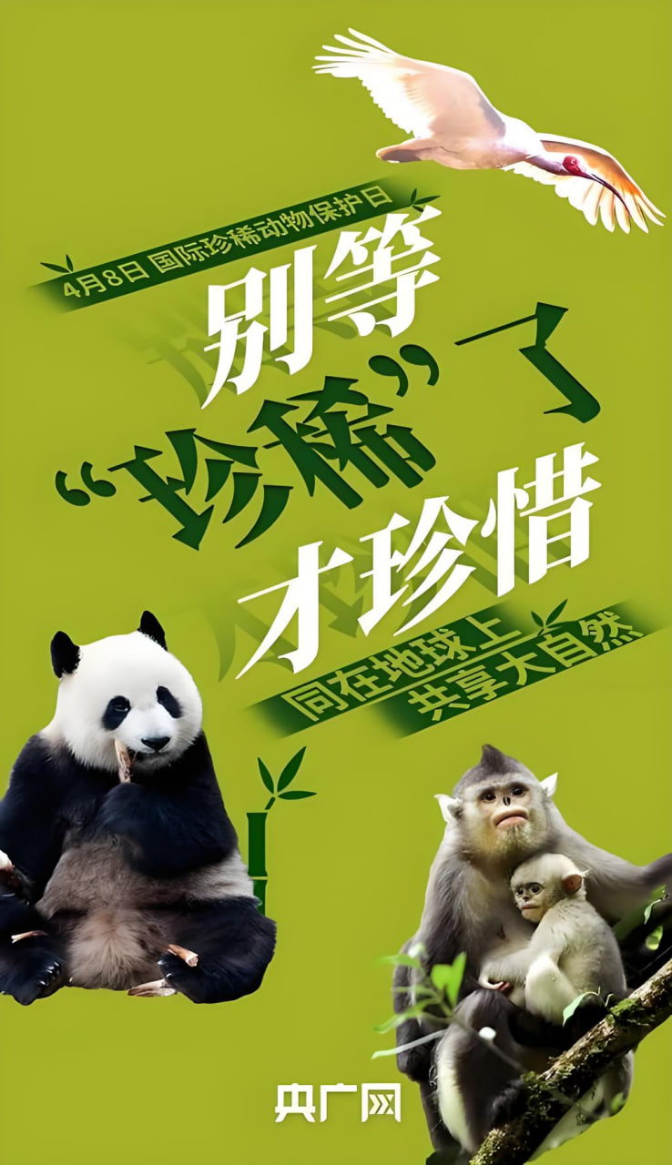 网站推广代码